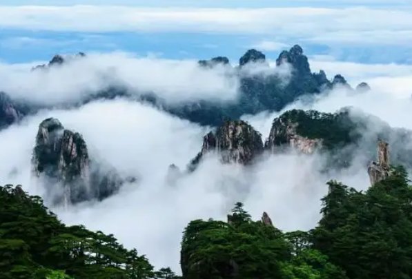 黄山旅游业遭重创“迎客松无客可迎”,疫情下各地旅游城市现状如何?