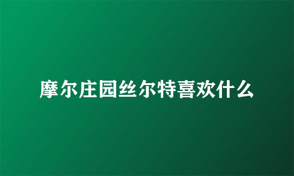 摩尔庄园丝尔特喜欢什么