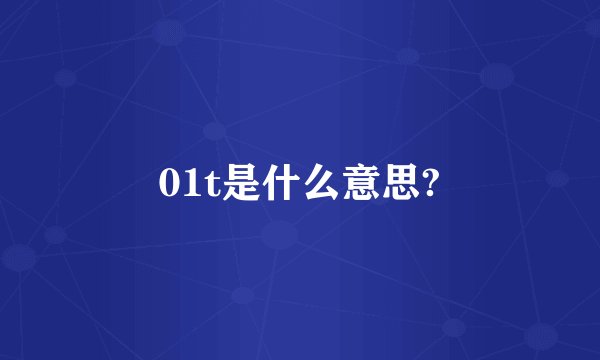 01t是什么意思?