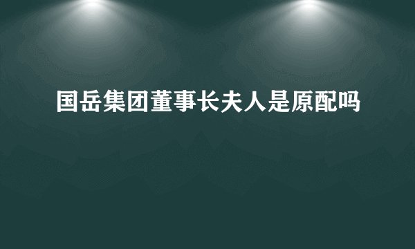 国岳集团董事长夫人是原配吗
