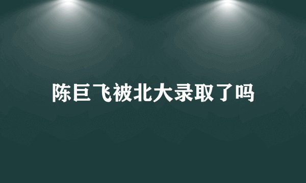 陈巨飞被北大录取了吗