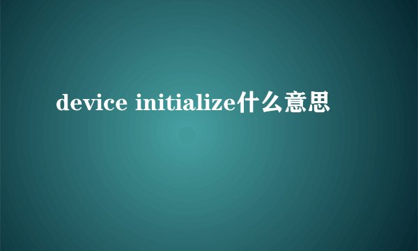 device initialize什么意思