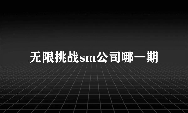 无限挑战sm公司哪一期