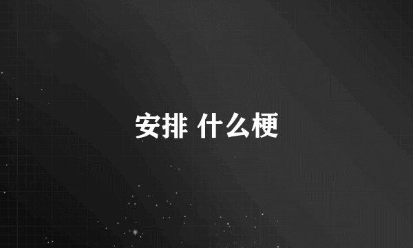 安排 什么梗