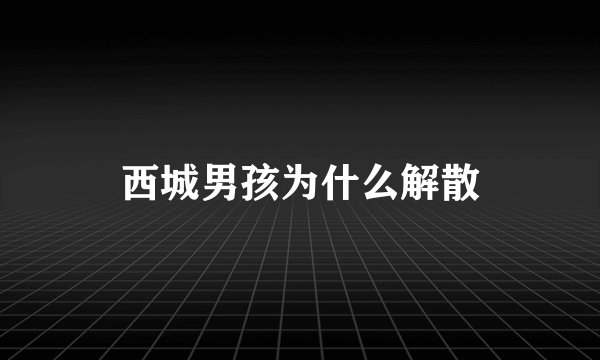 西城男孩为什么解散