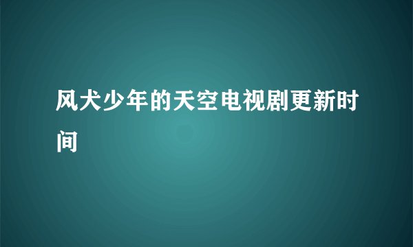 风犬少年的天空电视剧更新时间