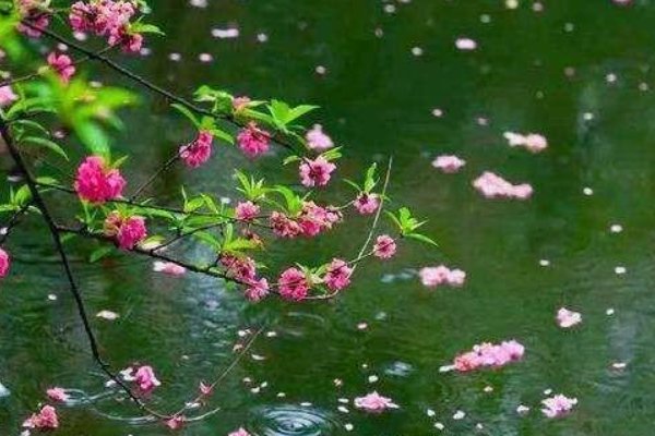 一群一群花的在绿草上跳舞，狂欢。仿句：