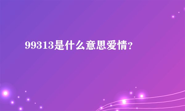 99313是什么意思爱情？