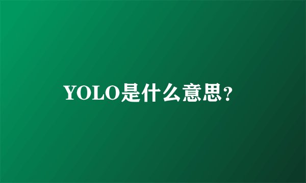 YOLO是什么意思？