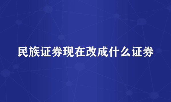 民族证券现在改成什么证券