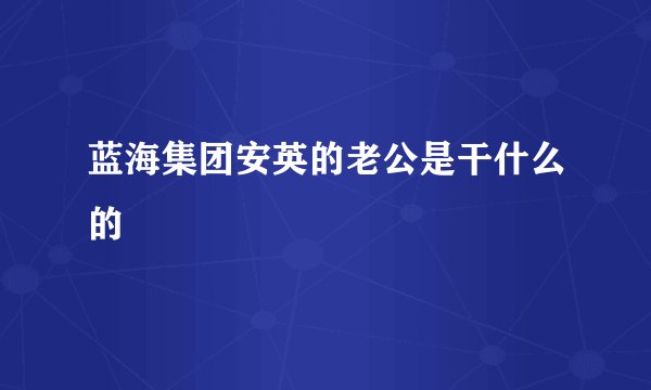 蓝海集团安英的老公是干什么的
