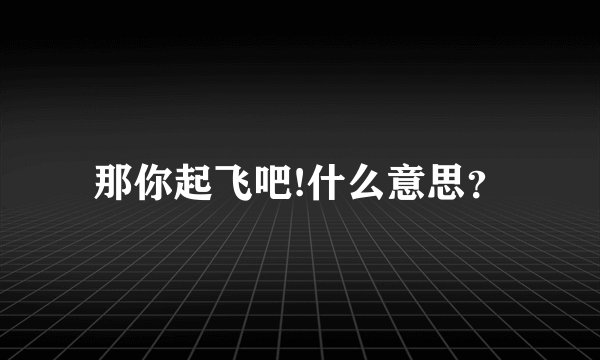 那你起飞吧!什么意思？
