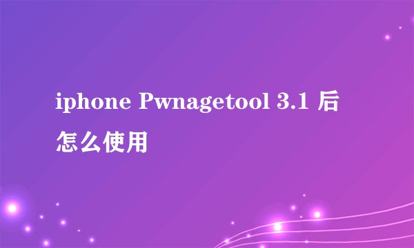 iphone Pwnagetool 3.1 后怎么使用