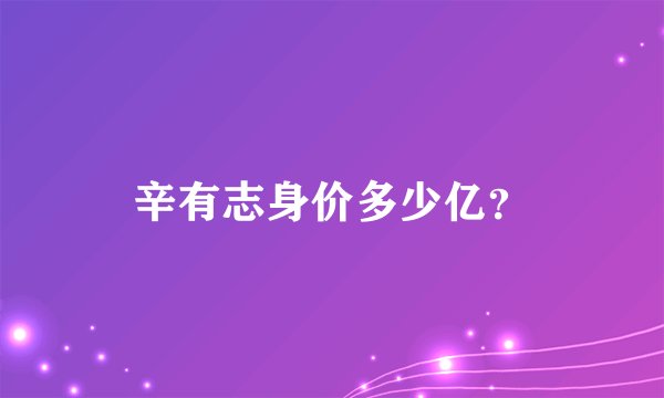 辛有志身价多少亿？