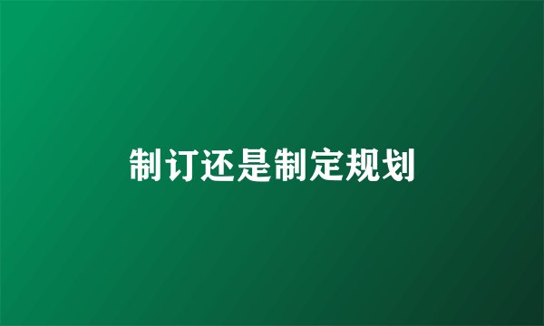 制订还是制定规划