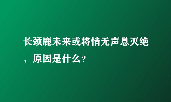 长颈鹿未来或将悄无声息灭绝，原因是什么？