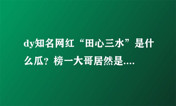 dy知名网红“田心三水”是什么瓜？榜一大哥居然是.....