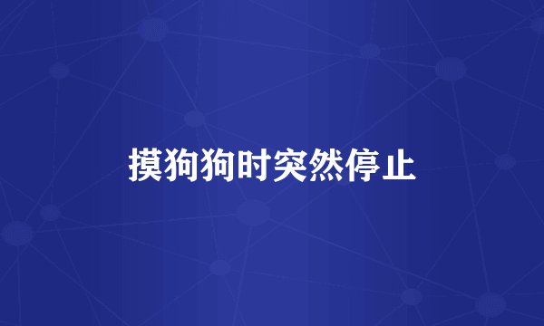 摸狗狗时突然停止