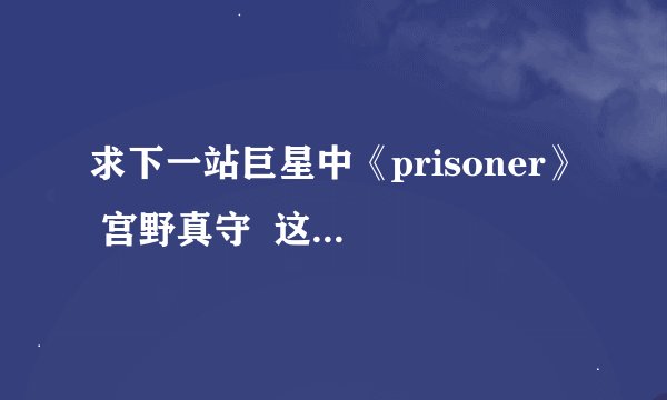 求下一站巨星中《prisoner》 宫野真守  这首歌的中文歌词~