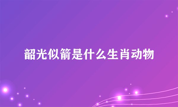 韶光似箭是什么生肖动物