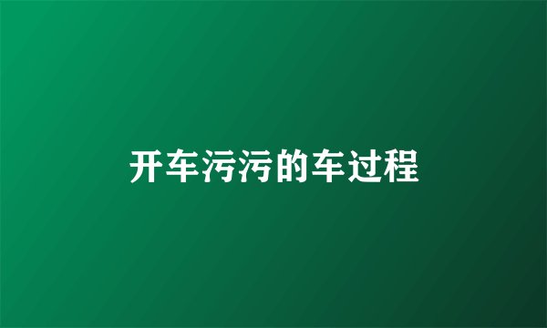 开车污污的车过程