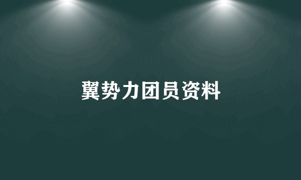 翼势力团员资料