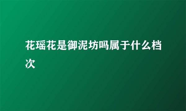花瑶花是御泥坊吗属于什么档次