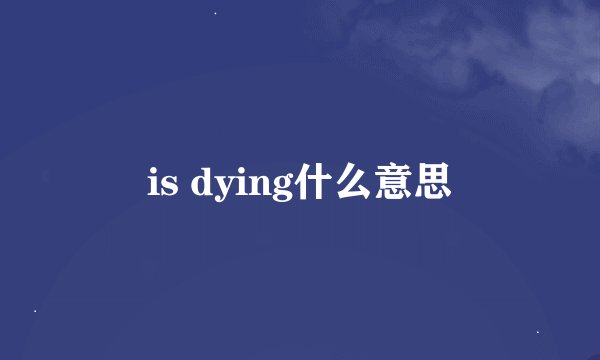 is dying什么意思