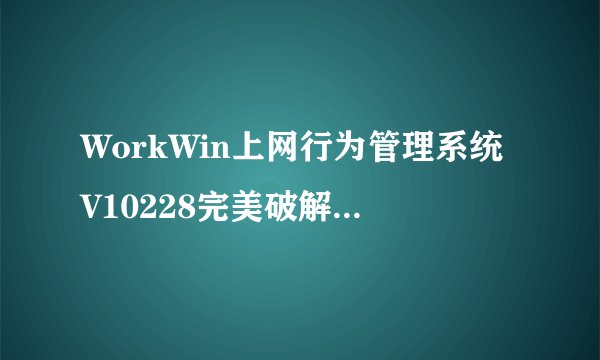 WorkWin上网行为管理系统V10228完美破解版WorkWin上网行为管理系统V10228完美破解版功能简介