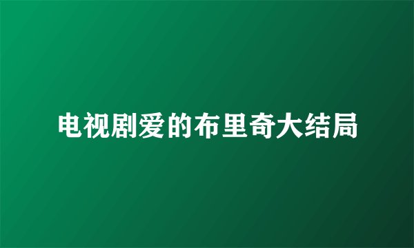 电视剧爱的布里奇大结局