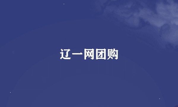 辽一网团购