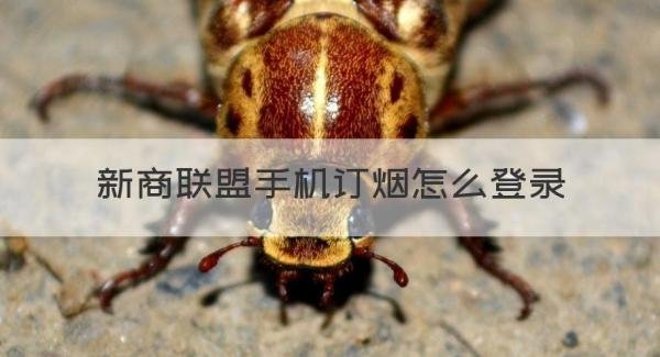 新商联盟手机订货 新商联盟手机订烟怎么登录