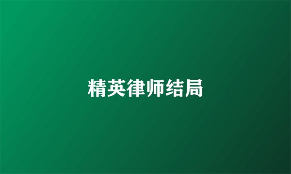 精英律师结局