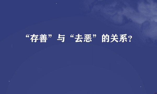 “存善”与“去恶”的关系？