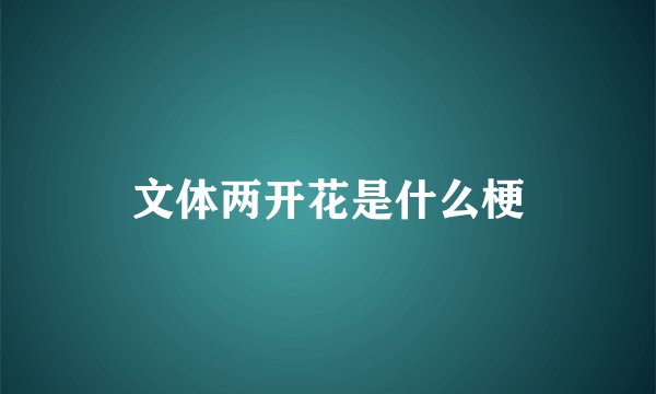 文体两开花是什么梗