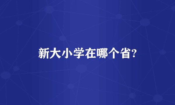 新大小学在哪个省?