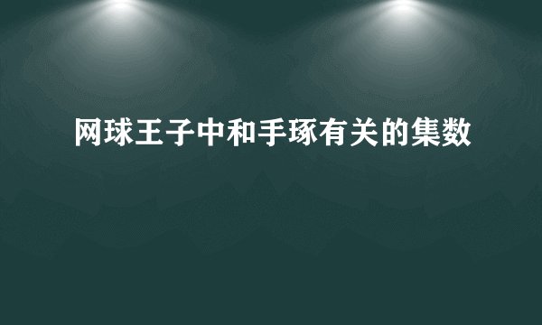 网球王子中和手琢有关的集数
