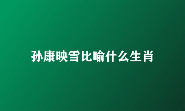 孙康映雪比喻什么生肖