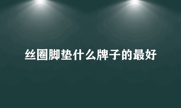 丝圈脚垫什么牌子的最好