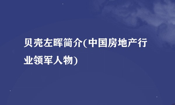 贝壳左晖简介(中国房地产行业领军人物)