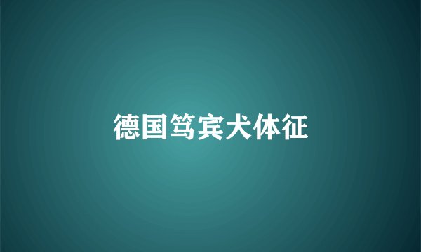 德国笃宾犬体征