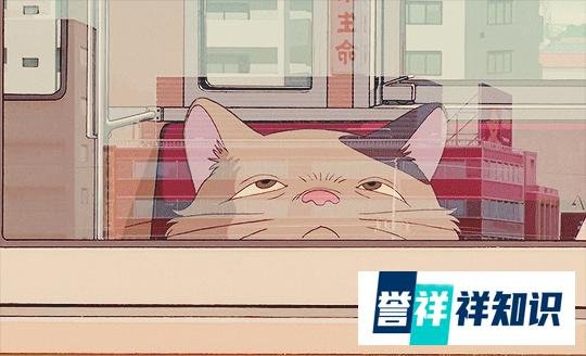“感受不到爱意的时候，记得全身而退”