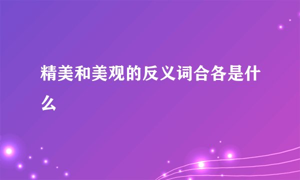 精美和美观的反义词合各是什么