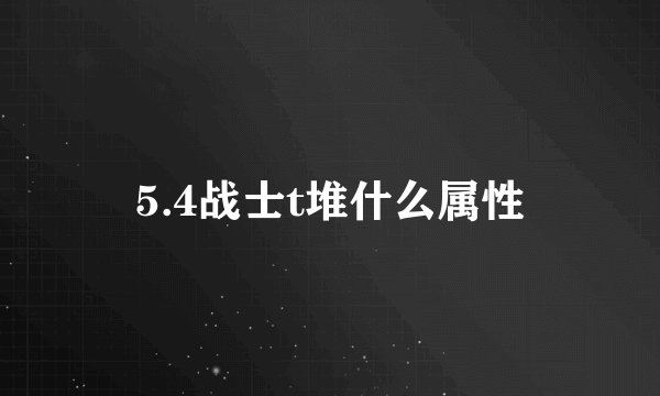 5.4战士t堆什么属性