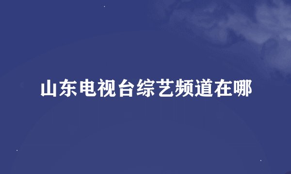 山东电视台综艺频道在哪