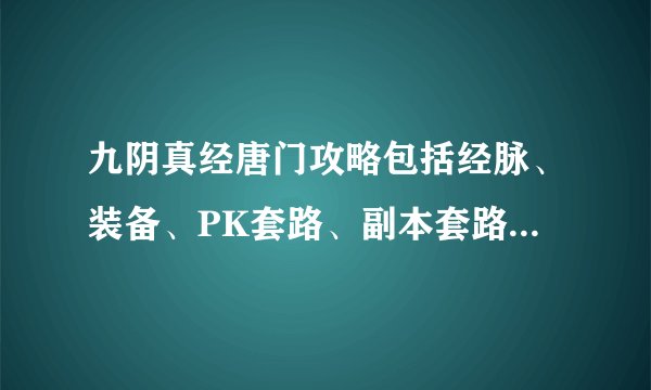 九阴真经唐门攻略包括经脉、装备、PK套路、副本套路、主修什么技能。。等