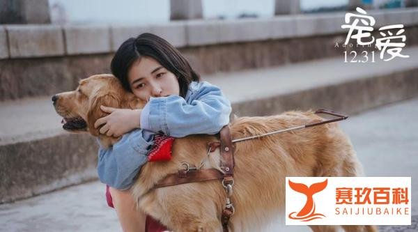 《宠爱》影评:元旦黑马作品,你看哭了么?豆瓣仅6.2分