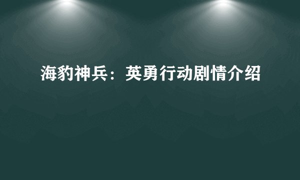 海豹神兵：英勇行动剧情介绍