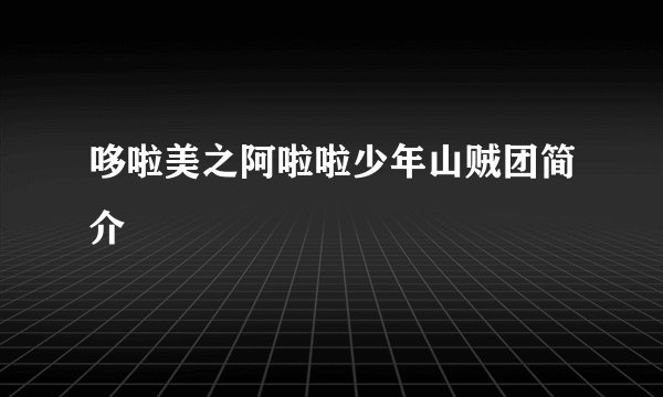 哆啦美之阿啦啦少年山贼团简介