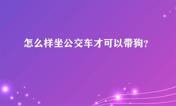 怎么样坐公交车才可以带狗？
